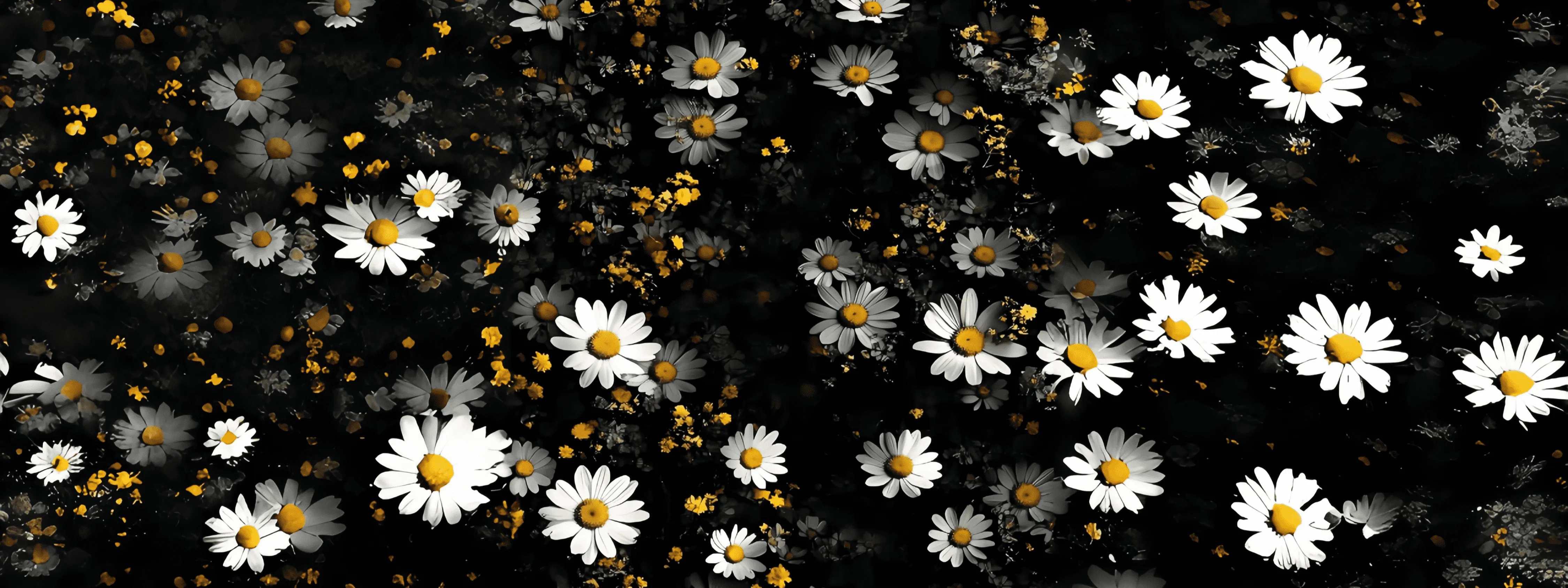 Chroma 向量数据库